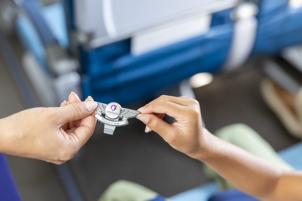 Hawaiian Airlines wings